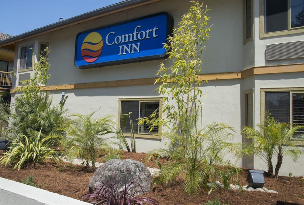 Comfort Inn Σάντα Κρουζ Εξωτερικό φωτογραφία
